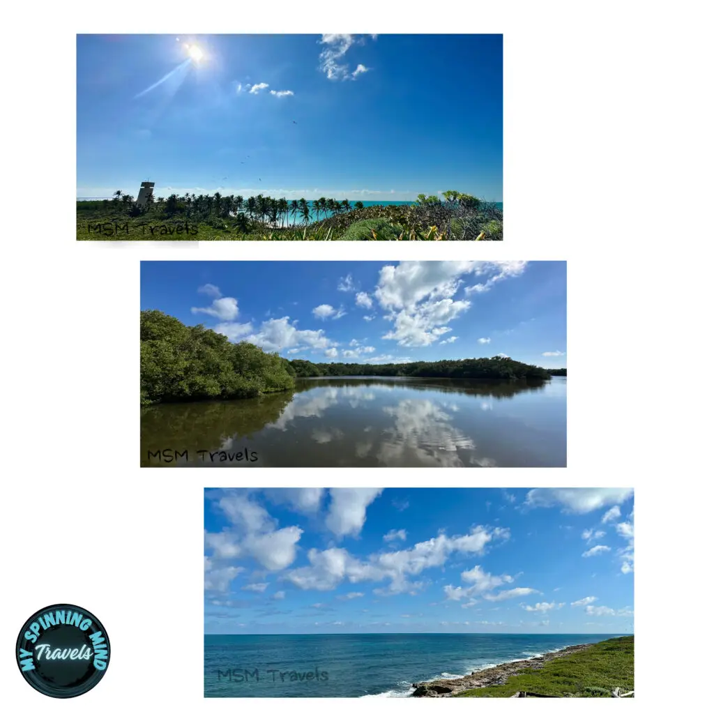 Isla Contoy Collage Lagoon Caribbean Gulf of Mexico